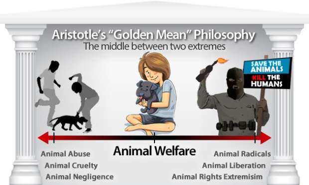 animal-welfare-goldenmean-moderation-philosophy